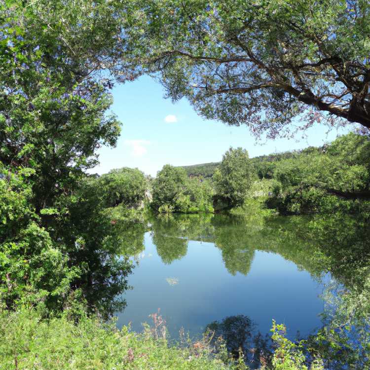 Современные водоемы