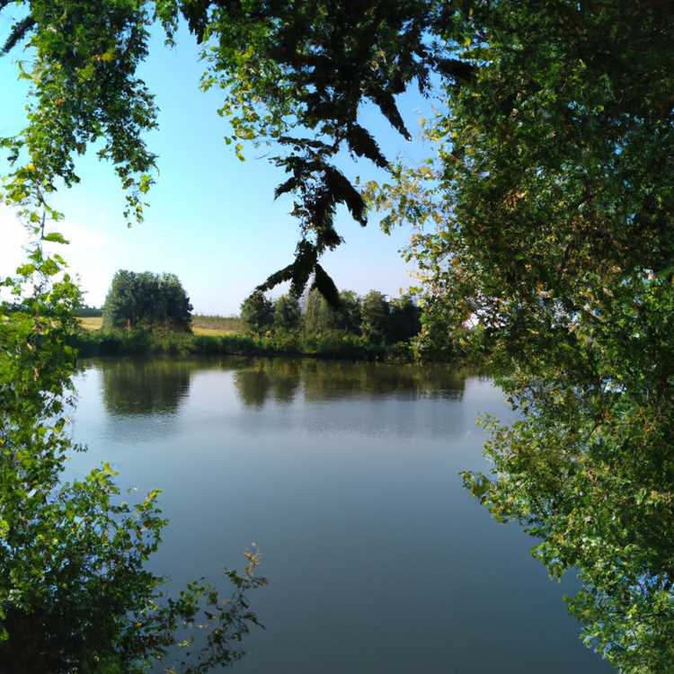 Искусственные водоемы