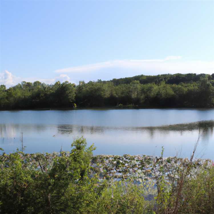 Первые водоемы