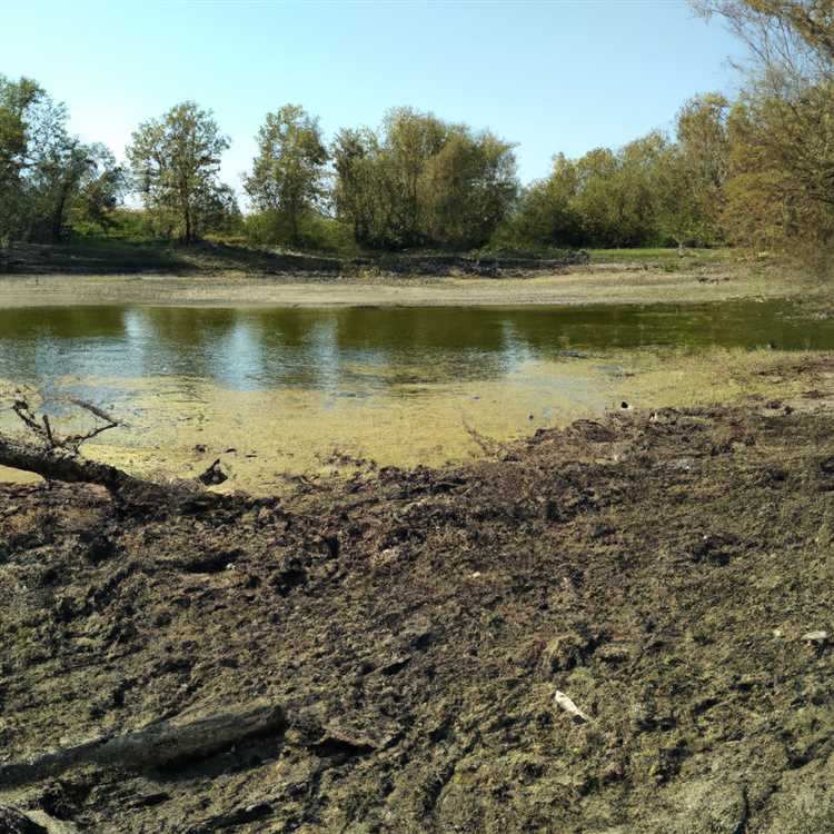 Разнообразие растительного и животного мира в водоемах
