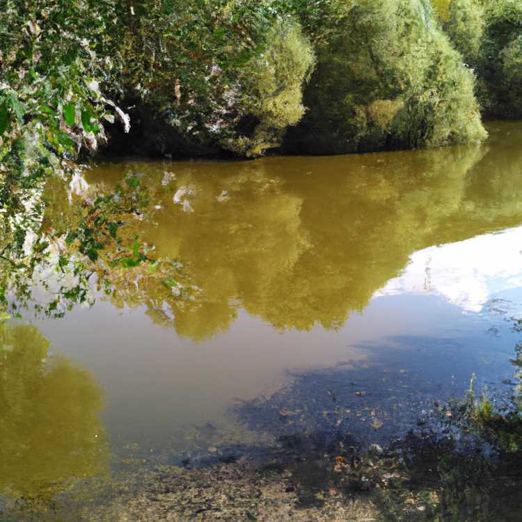 История водоемов города Герасимовка