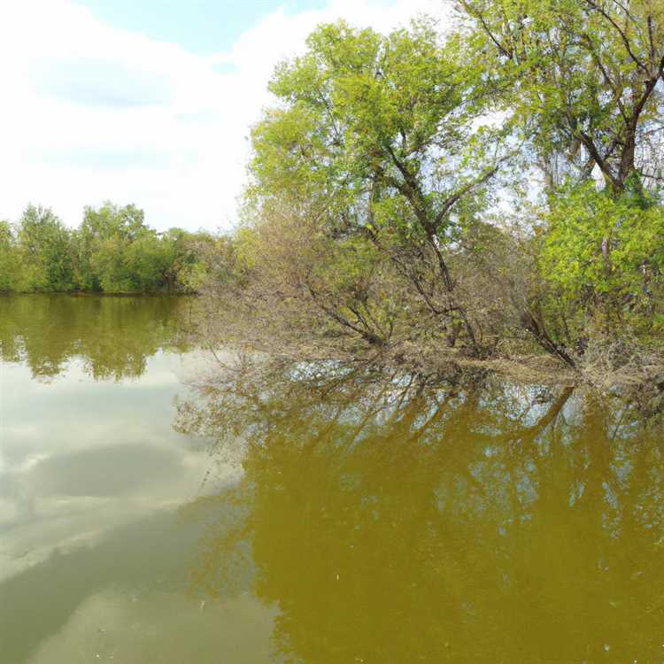 Изучаем водоемы в городе Герасимовка - что стоит знать Что можно рассказать о водоемах город герасимовка