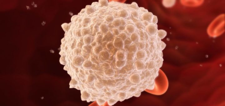 Как очистить кровь в организме — Полезная информация