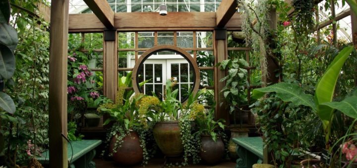 Как сделать зимний сад в доме — Полезная информация